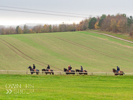 AK181121-91 - Back to stables